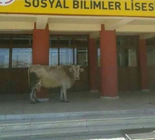 11. Öğretmenler zili çaldı...