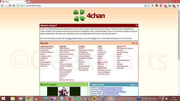 İnternetin ilk yıllarında troll'lük faaliyetleri bireysel olarak devam etse de 2003 yılında kurulan 4chan isimli forum sitesinde internet kullanıcıları organize olmaya hatta kendilerine ait yeni kalıplar oluşturmaya başladılar.