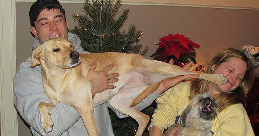 15 псов-ревнивцев, которые влюбят в себя любого!