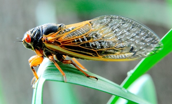 9. А кто это такой?