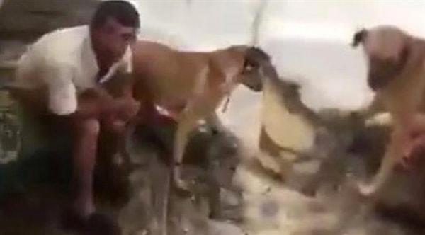 Bir diğer tecavüz vakası: Mersin'in Tarsus ilçesinde, bir barakada köpeğe tecavüz eden bir adam.