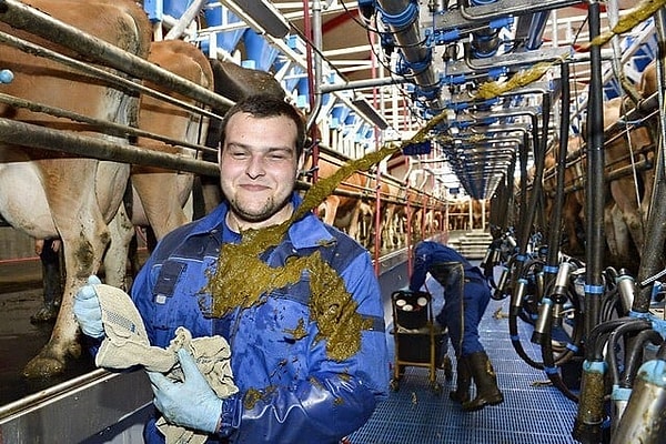 2. Когда понимаешь, что коровы могут давать не только молоко 💩