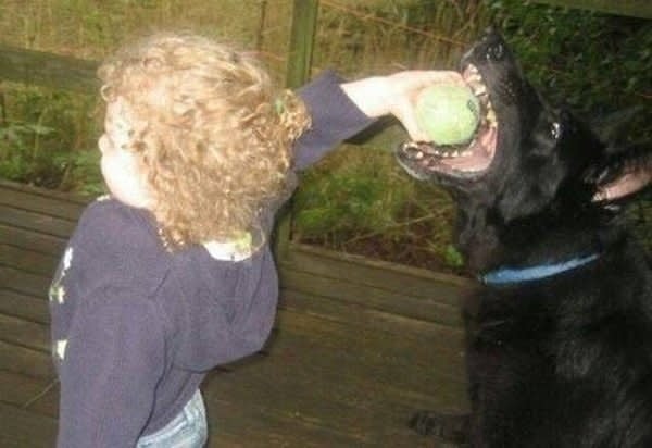 17. Выглядит, как картина эпохи Возрождения