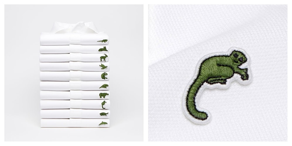 Компания Lacoste впервые за 85 лет сменила свой знаменитый логотип крокодила на животных, находящихся на грани вымирания