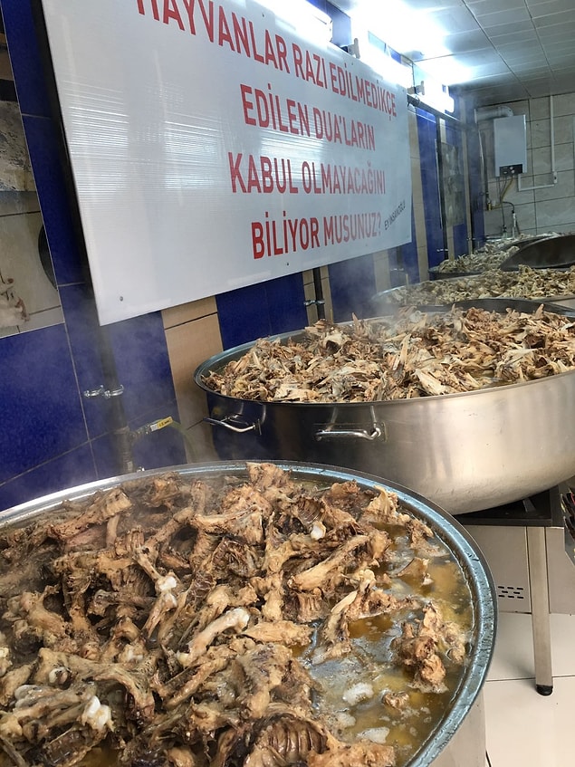 Her gün sokak hayvanları için 1.5 ton yemek pişiyor.