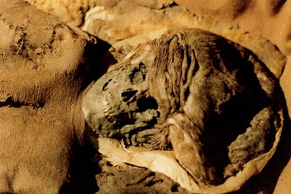 6. Мумия девушки, найденная в Дании