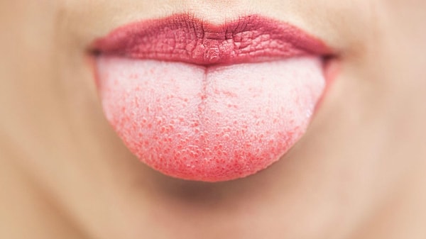 6. Человеческий язык