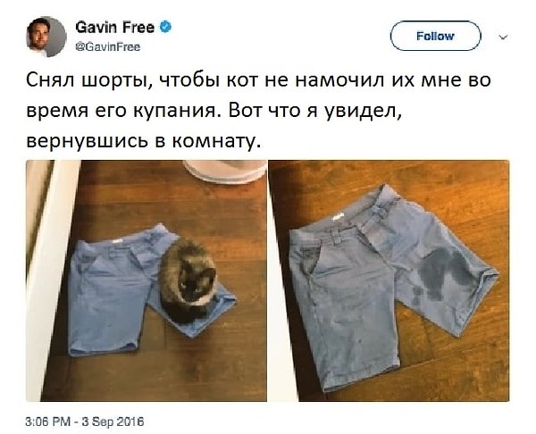 11. Если вы не будете достаточно осторожны, они найдут ваше самое слабое место и "ударят" по нему