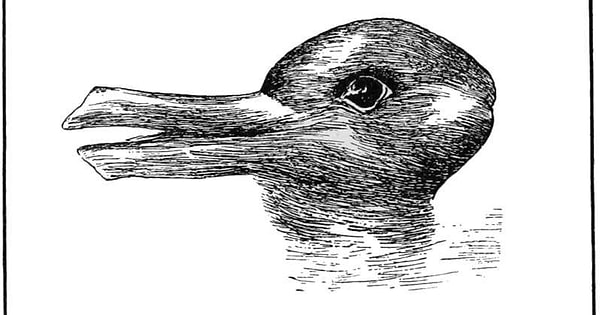 11. Что вы здесь видите?