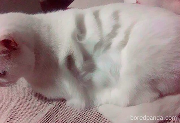 ...с функцией памяти"