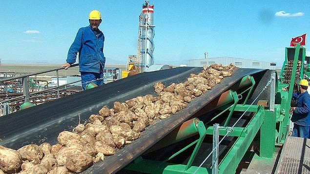 "Şeker fabrikalarının kapatılması kısırlaştırma projesinin bir parçası"