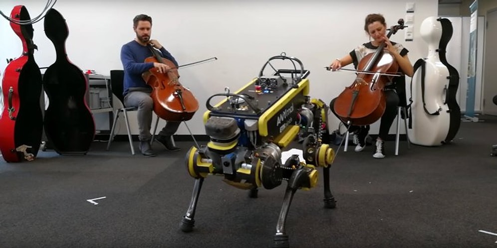 Müzik Duyunca Dans Edebilen Robot: ANYmal