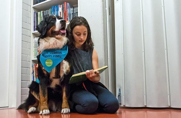 15. Finlandiya'daki kütüphanelerde çocuklara okuma sevgisi aşılamak amacıyla eğitilmiş köpekler bulunuyor.