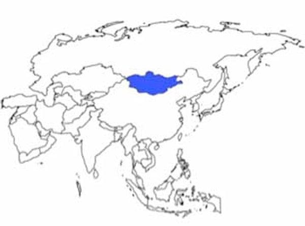 3. Какая страна выделена на карте?