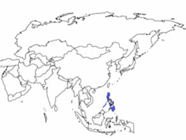 4. Какая страна выделена на карте?