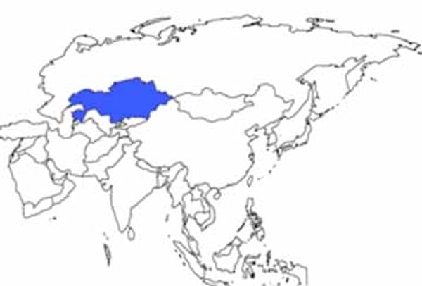 10. Какая страна выделена на карте?