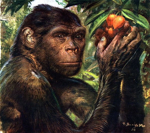 Увы! Вы знаете об устройстве мира очень мало!