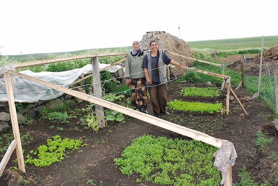 Köy Yaşamını Canlandırarak Kırsal Kalkınma İçin Fark Yaratıyorlar: Boğatepe Çevre ve Yaşam Derneği