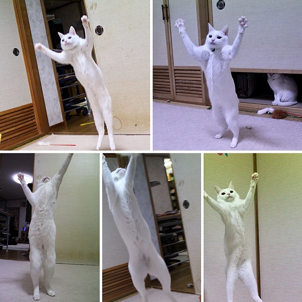 17. Пару дублей до удачного фото.