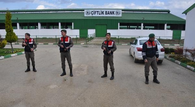 Çiftliklerin yağmalandığından ve sahte akrabalarından söz etti.