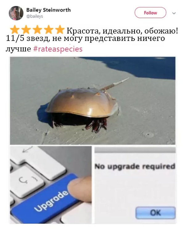 5. А это вообще выглядит как фейковый отзыв