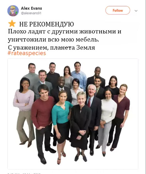 Бонус: Самый правдивый отзыв из всех