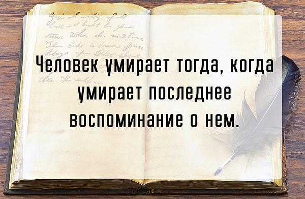 8. Из какой книги эта цитата?