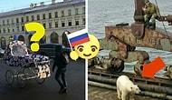 13 колоритных фотографий типичной России, от которых иностранцы выпали бы в осадок