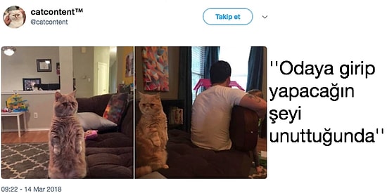 Geçen Hafta Yalnızca Tweet Atarak Tüm Dünyayı Güldürmeyi Başarmış 26 Uluslararası Mizahşör