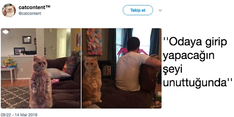 Geçen Hafta Yalnızca Tweet Atarak Tüm Dünyayı Güldürmeyi Başarmış 26 Uluslararası Mizahşör