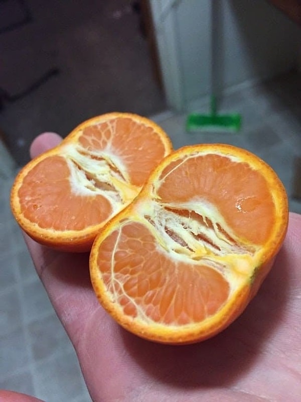 10. Когда разрезал мандарин и попал в точку!