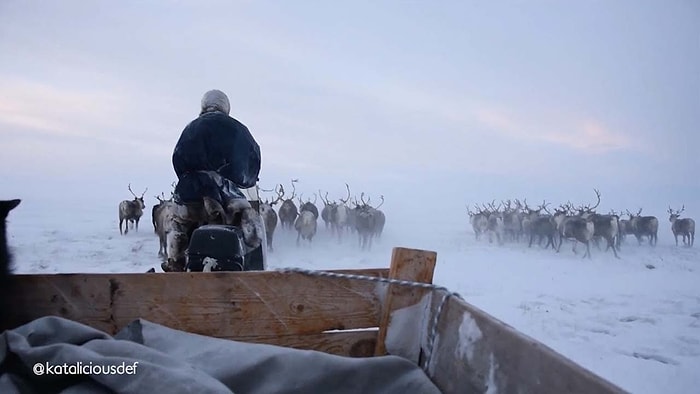 Tatilini, Dünyanın En Zor Şartları Altında Yaşamaya Çalışan 'Ren Geyiği Çobanları'yla Geçiren Genç