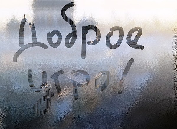 1. Вы человек утра?