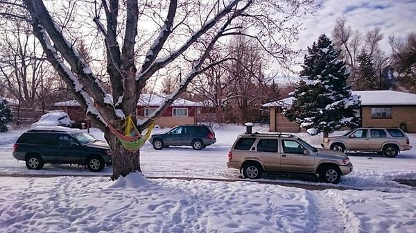 16. "Benim ve ev arkadaşımın arabaları, karşı komşununkiler ile aynı. Bugün arabaları böyle park ettik."