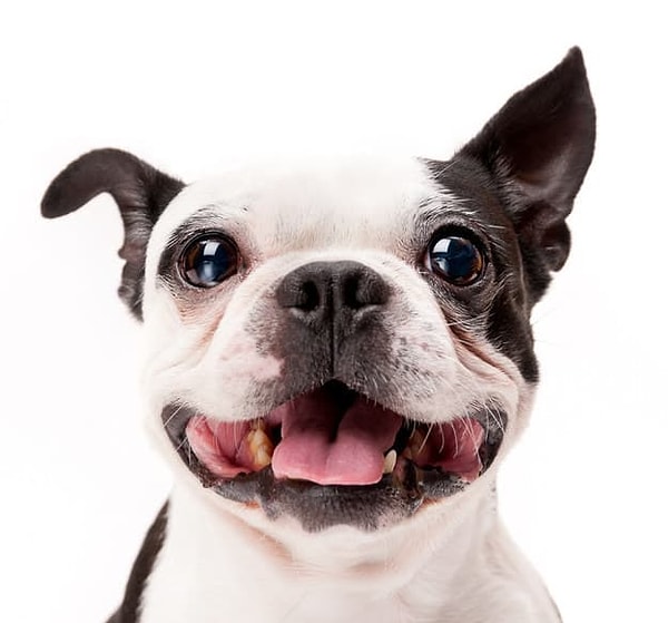 Показать правильный ответ