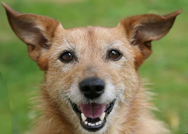 Показать правильный ответ