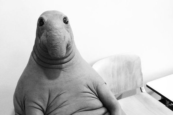 1. Как называется этот мем?