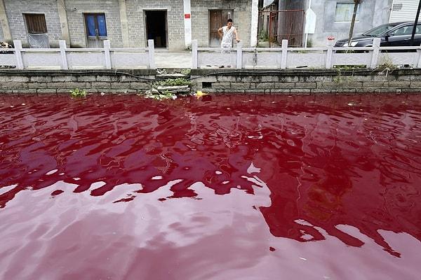 19. 24 Temmuz 2014'te kırmızı boya ile kirlenen Wenzhou Nehri'ni inceleyen bir adam.