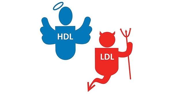 Daha yüksek “kötü” (LDL) kolesterol ve trigliseritler; ve daha düşük “iyi” (HDL) kolesterol.
