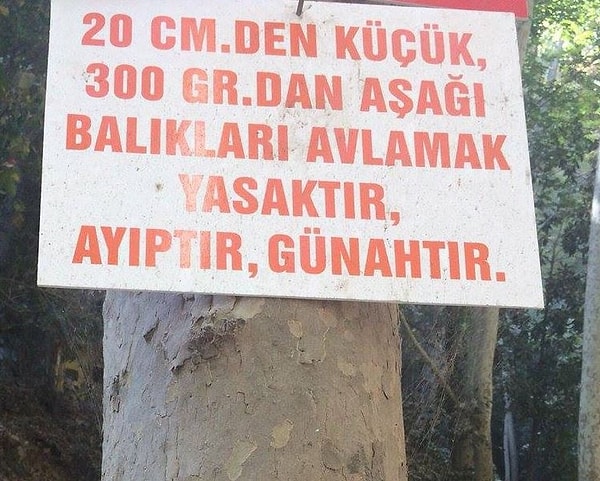 18. Yasaktır, aynı zamanda ayıptır ve de günahtır...