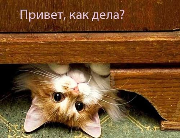 6. Даже не вздумайте даже ради приличия спросить у русского "как дела?"