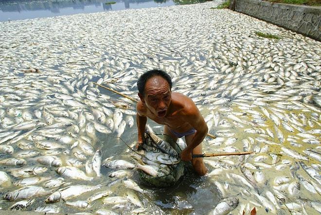 Su Ölürse Biz de Ölürüz! Sorumsuzca Kirletilmiş Deniz, Nehir ve Göllerden 20 Yürek Burkan Fotoğraf