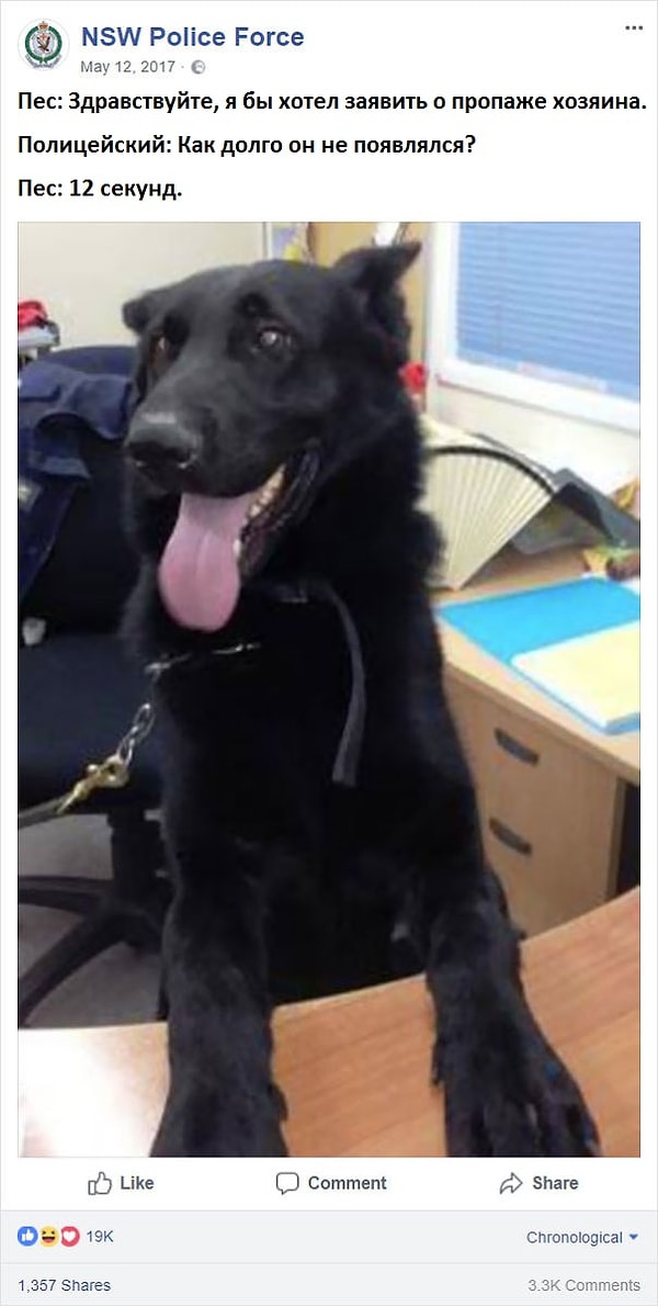 7. Шуточки полицейских в твиттере: