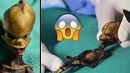 Uzaylı mı İnsan mı? DNA Bilimcileri Şilili Uzaylı Bebeğin Sırrını Sonunda Çözdü!
