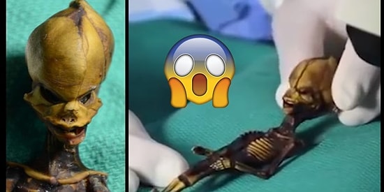 Uzaylı mı İnsan mı? DNA Bilimcileri Şilili Uzaylı Bebeğin Sırrını Sonunda Çözdü!