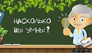 Если вы сможете набрать в этом тесте больше 8 правильных ответов, то вы умнее, чем 90% людей