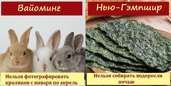 Невозможно поверить, что это не шутка: 18 самых неожиданных американских законов