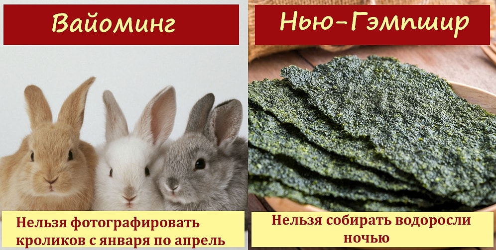 Невозможно поверить, что это не шутка: 18 самых неожиданных американских законов