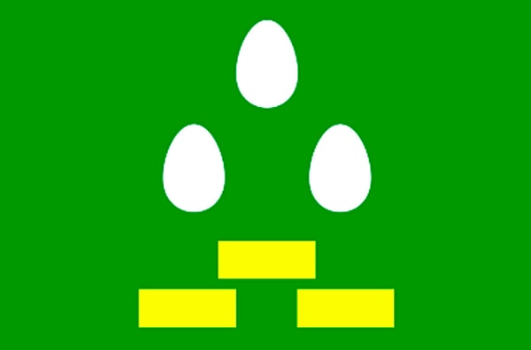 4. Флаг Холохоленского сельского поселения