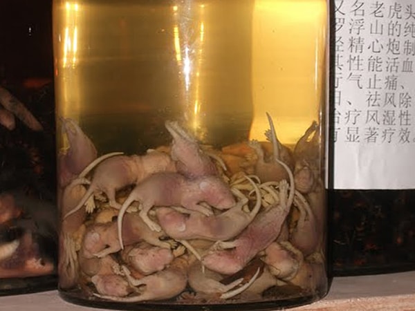 1. Вино из мышей